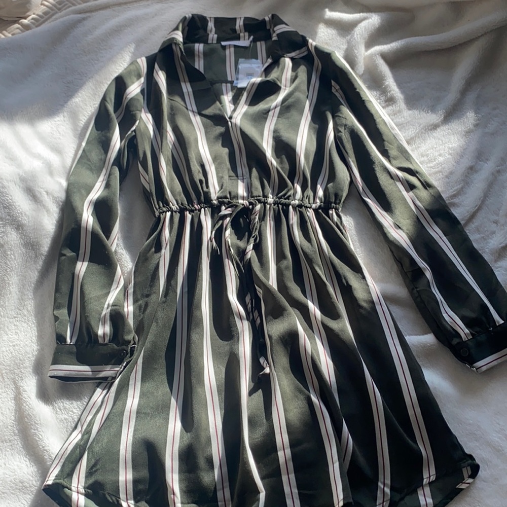 Lush Green striped dress